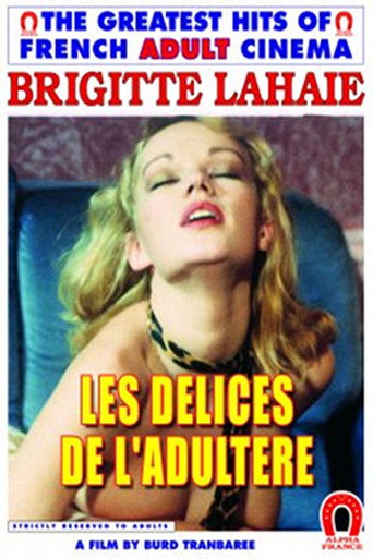 Delights of Adultery movie poster