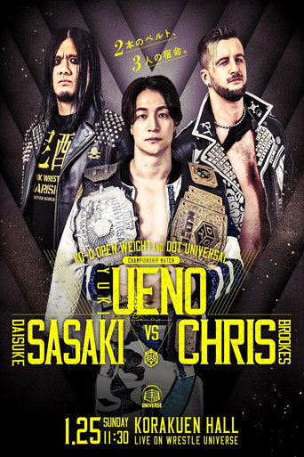 DDT Mission in Battle ~new year splendor~ movie poster