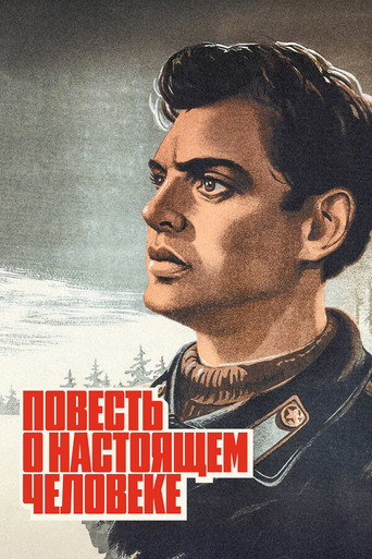 Story of a Real Man movie poster