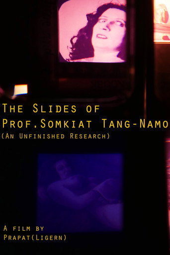 The Slides of Prof. Somkiat Tang-Namo movie poster