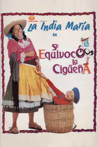 The Stork's Mistake movie poster
