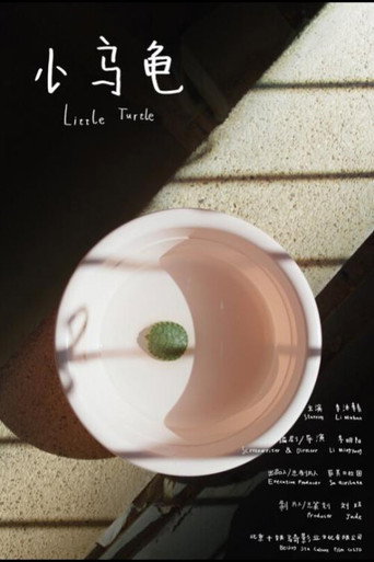 Little Turtle movie poster