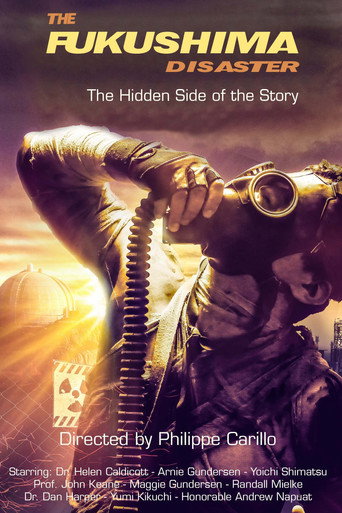 The Fukushima Disaster: The Hidden Side of The Story movie poster