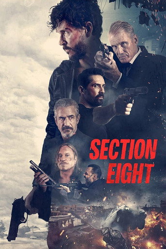 Section 8 movie poster