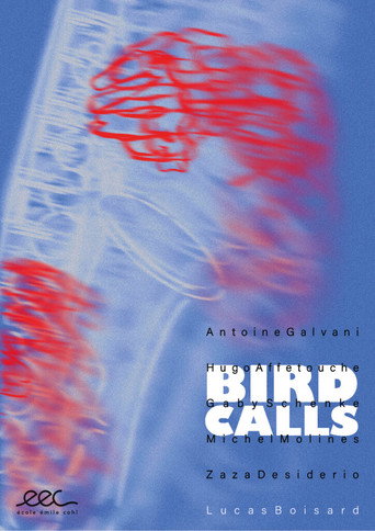 Bird Calls movie poster