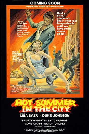 Hot Summer in the City movie poster