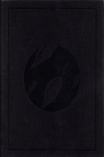Clandestine movie poster