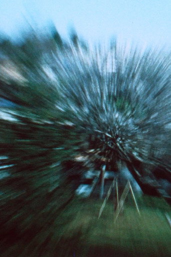 Backyard movie poster