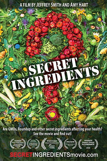 Secret Ingredients movie poster