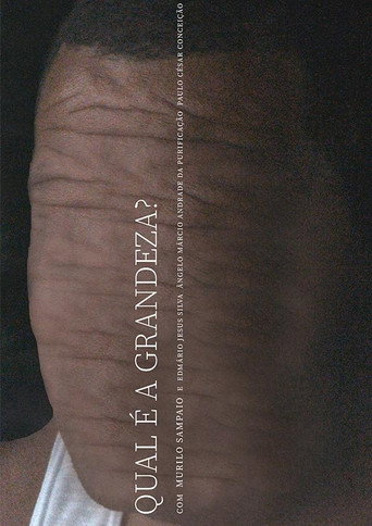 Qual é a Grandeza? movie poster