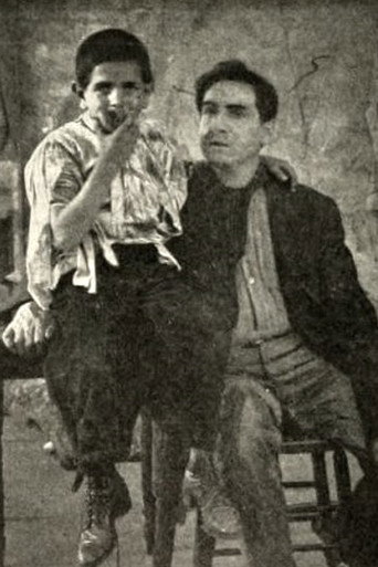 The Hungarian Nabob movie poster