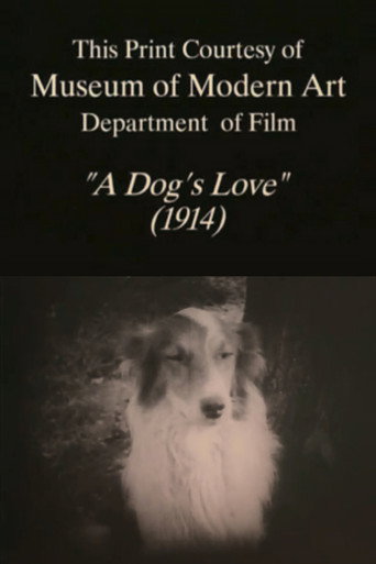 A Dog's Love movie poster