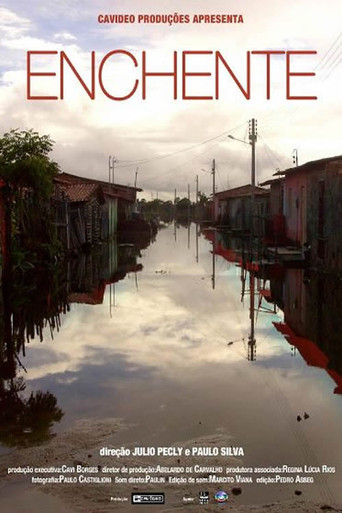 Enchente movie poster