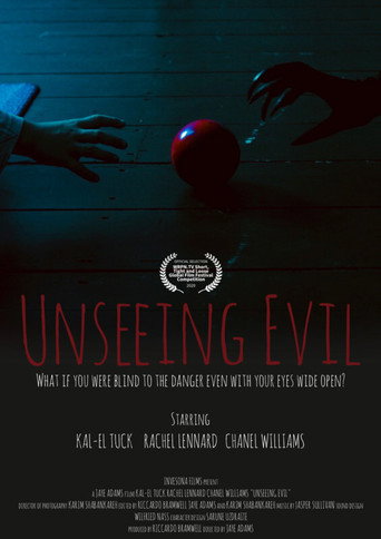 Unseeing Evil movie poster