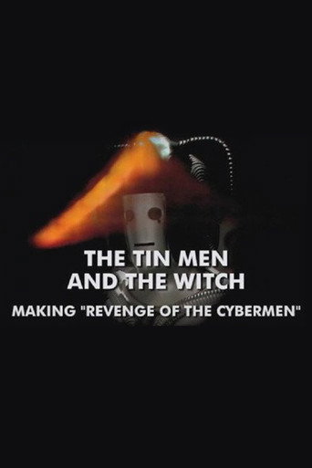 The Tin Men and the Witch movie poster