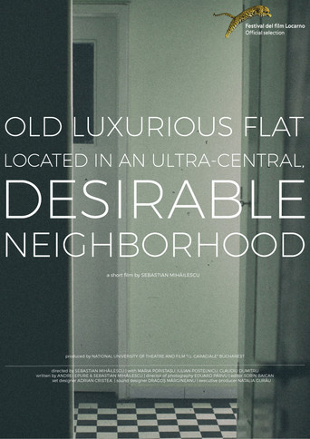 Old, Luxurious Flat Located in an Ultra-Central, Desirable Neighborhood movie poster