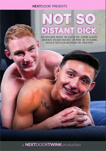Not So Distant Dick movie poster