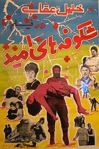 Blossoms of Hope movie poster