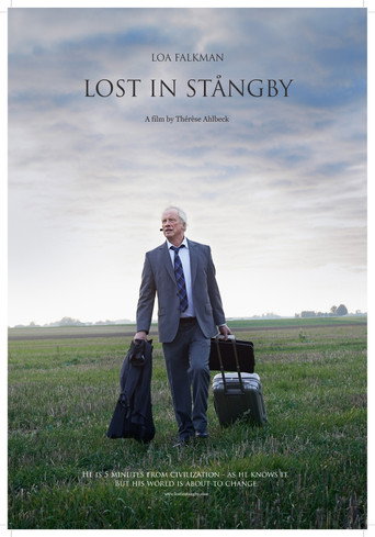 Lost in Stångby movie poster