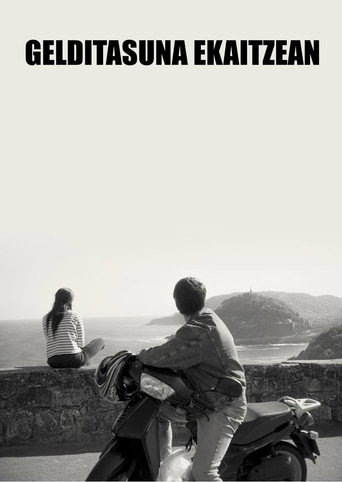 Stillness in the Storm movie poster