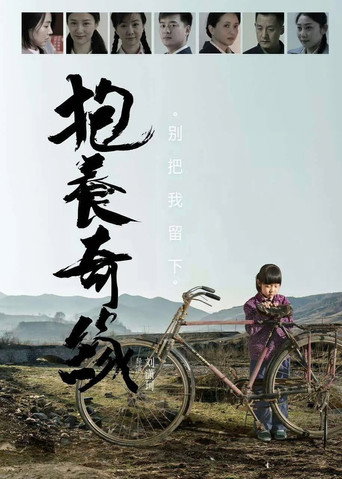 抱养奇缘 movie poster