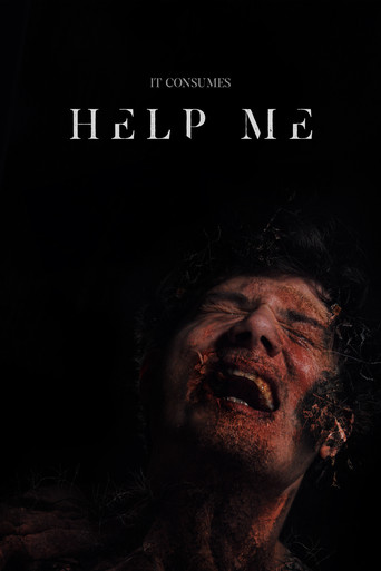 Help Me movie poster