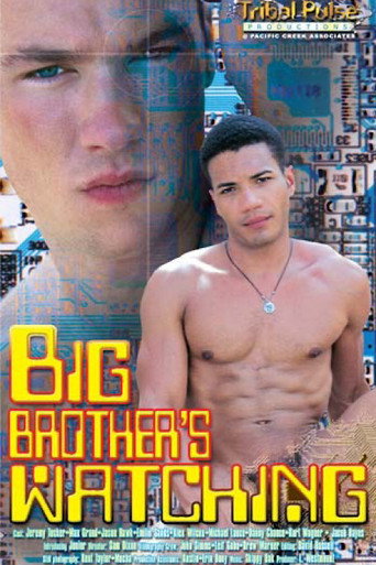 Big Brother’s Watching movie poster