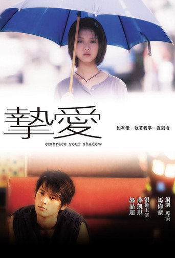 Embrace Your Shadow movie poster