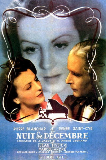 Night in December movie poster