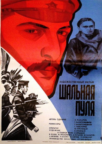 Stray Bullet movie poster