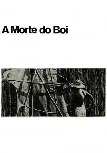 A Morte do Boi movie poster