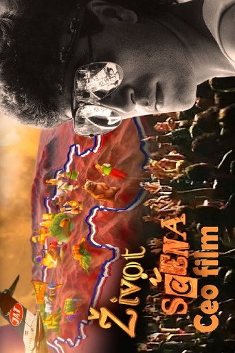 Life and Spotlight movie poster