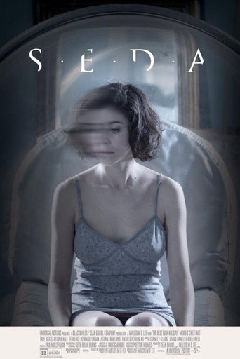 Silk movie poster