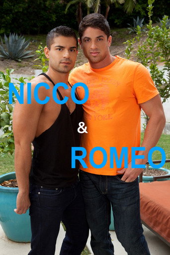 Nicco & Romeo movie poster