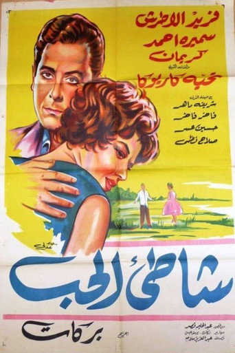 The Shore of Love movie poster