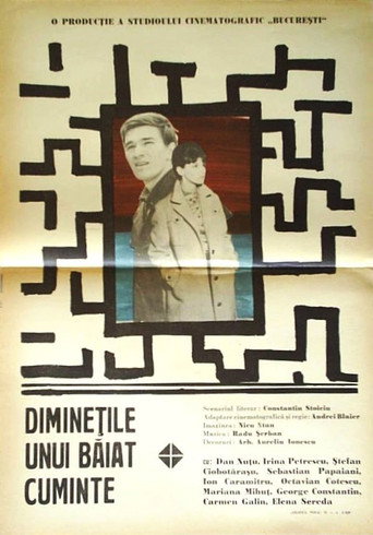 The Mornings of a Sensible Youth movie poster