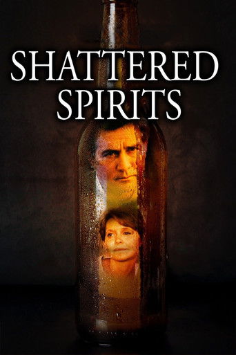 Shattered Spirits movie poster