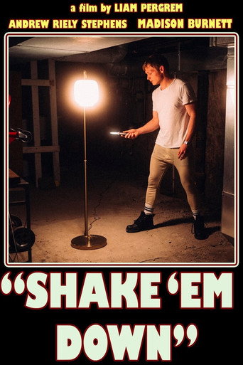 Shake 'Em Down movie poster
