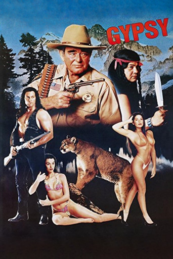 Gypsy movie poster