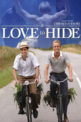 A Love to Hide movie poster