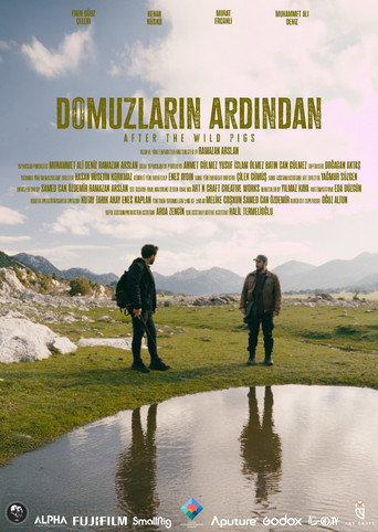 Domuzların Ardından movie poster