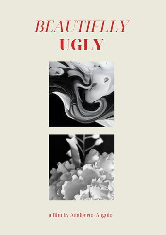 Beautifully Ugly movie poster