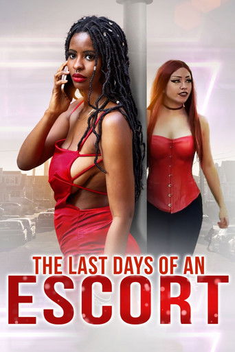 The Last Days of an Escort movie poster