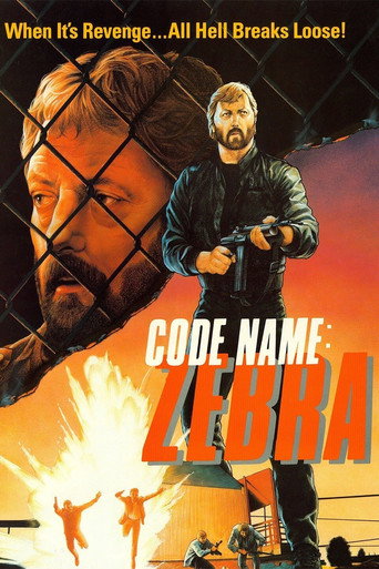 Code Name: Zebra movie poster
