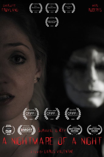 A Nightmare of a Night movie poster