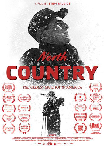 North Country movie poster