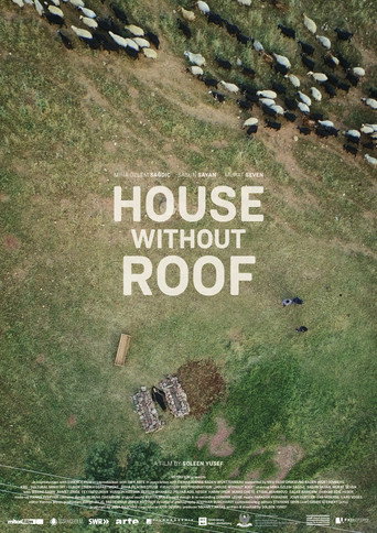 House Without Roof movie poster