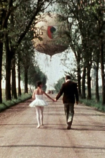 Morgenstimme movie poster