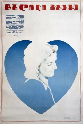The Shadow On Road movie poster