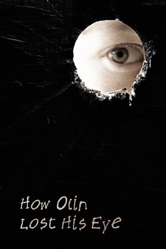 How Olin Lost His Eye movie poster